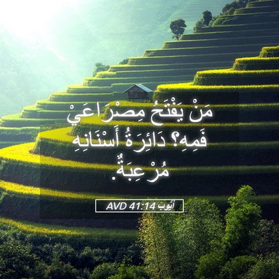 Picture 05 - أَيُّوبَ 41:14 AVD - مَنْ يَفْتَحُ مِصْرَاعَيْ - Bible Verse Picture