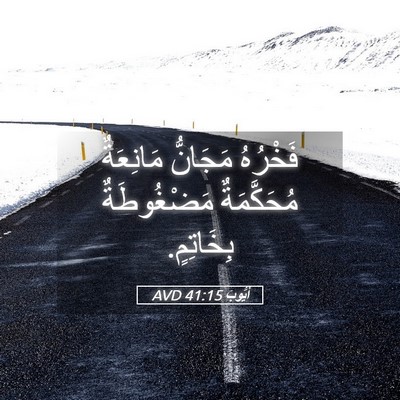 Picture 05 - أَيُّوبَ 41:15 AVD - فَخْرُهُ مَجَانُّ - Bible Verse Picture