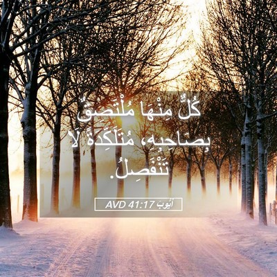 Picture 05 - أَيُّوبَ 41:17 AVD - كُلٌّ مِنْهَا مُلْتَصِقٌ - Bible Verse Picture