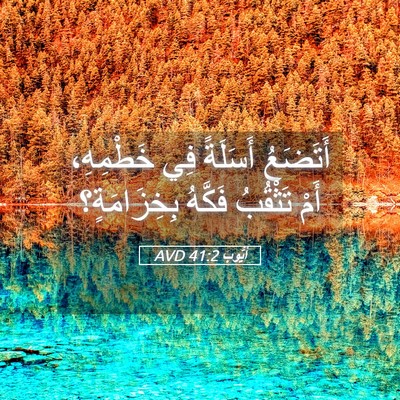 Picture 05 - أَيُّوبَ 41:2 AVD - أَتَضَعُ أَسَلَةً فِي - Bible Verse Picture