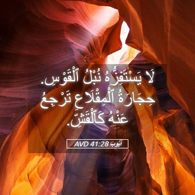 Picture 05 - أَيُّوبَ 41:28 AVD - لَا يَسْتَفِزُّهُ نُبْلُ - Bible Verse Picture