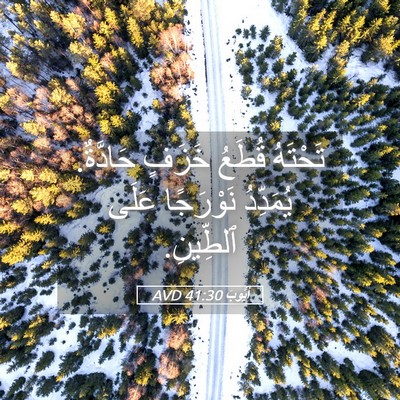 Picture 05 - أَيُّوبَ 41:30 AVD - تَحْتَهُ قُطَعُ خَزَفٍ - Bible Verse Picture