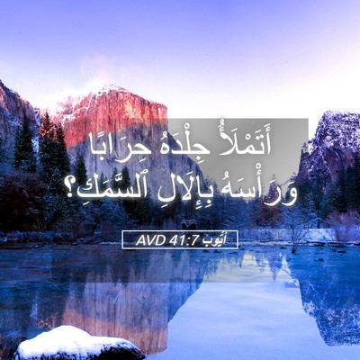 Picture 05 - أَيُّوبَ 41:7 AVD - أَتَمْلَأُ جِلْدَهُ - Bible Verse Picture