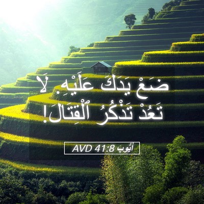 Picture 05 - أَيُّوبَ 41:8 AVD - ضَعْ يَدَكَ عَلَيْهِ. لَا - Bible Verse Picture