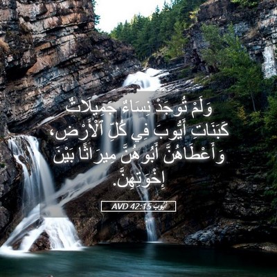 Picture 05 - أَيُّوبَ 42:15 AVD - وَلَمْ تُوجَدْ نِسَاءٌ - Bible Verse Picture
