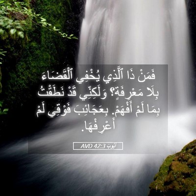 Picture 05 - أَيُّوبَ 42:3 AVD - فَمَنْ ذَا ٱلَّذِي يُخْفِي - Bible Verse Picture