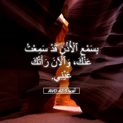 Picture 05 - أَيُّوبَ 42:5 AVD - بِسَمْعِ ٱلْأُذُنِ قَدْ - Bible Verse Picture