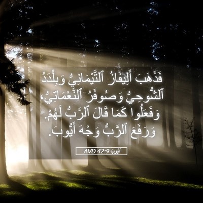 Picture 05 - أَيُّوبَ 42:9 AVD - فَذَهَبَ أَلِيفَازُ - Bible Verse Picture