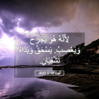 Picture 05 - أَيُّوبَ 5:18 AVD - لِأَنَّهُ هُوَ يَجْرَحُ - Bible Verse Picture