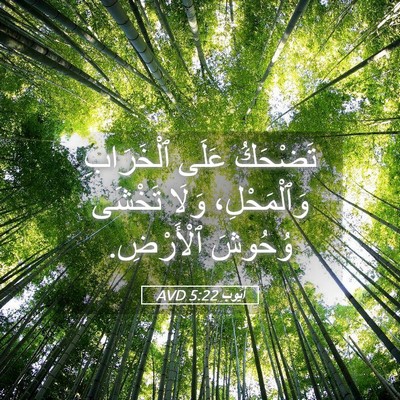 Picture 05 - أَيُّوبَ 5:22 AVD - تَضْحَكُ عَلَى ٱلْخَرَابِ - Bible Verse Picture