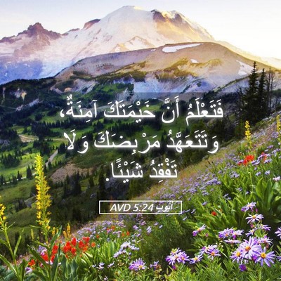 Picture 05 - أَيُّوبَ 5:24 AVD - فَتَعْلَمُ أَنَّ - Bible Verse Picture