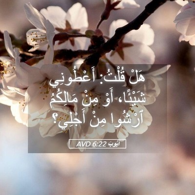 Picture 05 - أَيُّوبَ 6:22 AVD - هَلْ قُلْتُ: أَعْطُونِي - Bible Verse Picture