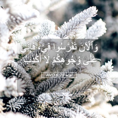 Picture 05 - أَيُّوبَ 6:28 AVD - وَٱلْآنَ تَفَرَّسُوا - Bible Verse Picture
