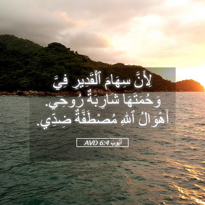 Picture 05 - أَيُّوبَ 6:4 AVD - لِأَنَّ سِهَامَ - Bible Verse Picture