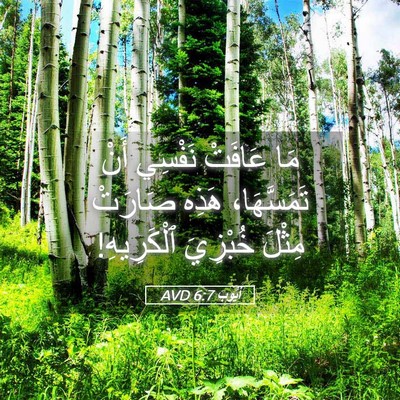 Picture 05 - أَيُّوبَ 6:7 AVD - مَا عَافَتْ نَفْسِي أَنْ - Bible Verse Picture