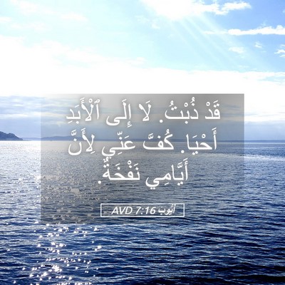 Picture 05 - أَيُّوبَ 7:16 AVD - قَدْ ذُبْتُ. لَا إِلَى - Bible Verse Picture
