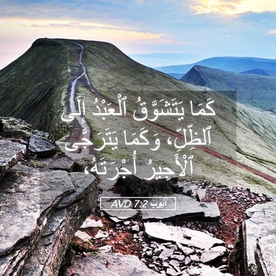 Picture 05 - أَيُّوبَ 7:2 AVD - كَمَا يَتَشَوَّقُ - Bible Verse Picture