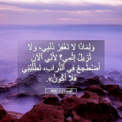 Picture 05 - أَيُّوبَ 7:21 AVD - وَلِمَاذَا لَا تَغْفِرُ - Bible Verse Picture