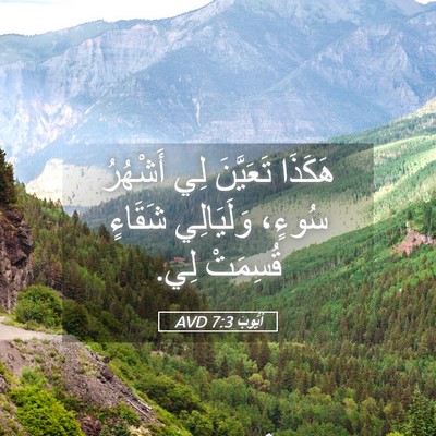Picture 05 - أَيُّوبَ 7:3 AVD - هَكَذَا تَعَيَّنَ لِي - Bible Verse Picture