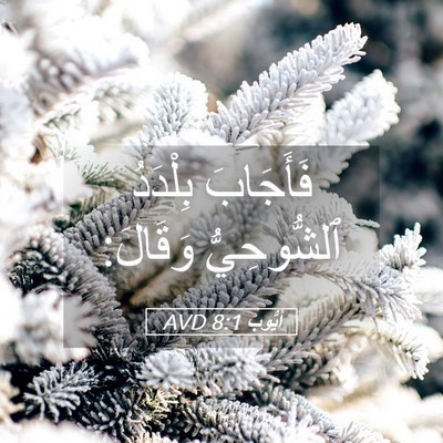 Picture 05 - أَيُّوبَ 8:1 AVD - فَأَجَابَ بِلْدَدُ - Bible Verse Picture