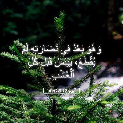 Picture 05 - أَيُّوبَ 8:12 AVD - وَهُوَ بَعْدُ فِي - Bible Verse Picture