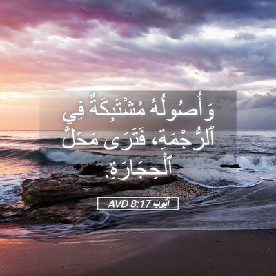 Picture 05 - أَيُّوبَ 8:17 AVD - وَأُصُولُهُ مُشْتَبِكَةٌ - Bible Verse Picture