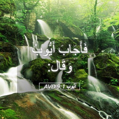 Picture 05 - أَيُّوبَ 9:1 AVD - فَأَجَابَ أَيُّوبُ - Bible Verse Picture