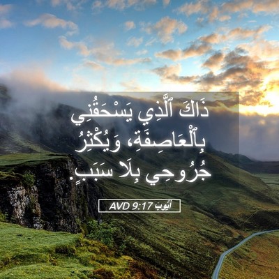 Picture 05 - أَيُّوبَ 9:17 AVD - ذَاكَ ٱلَّذِي يَسْحَقُنِي - Bible Verse Picture