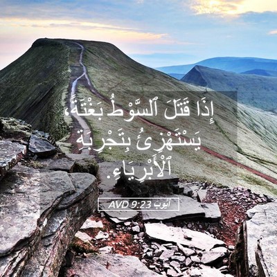 Picture 05 - أَيُّوبَ 9:23 AVD - إِذَا قَتَلَ ٱلسَّوْطُ - Bible Verse Picture