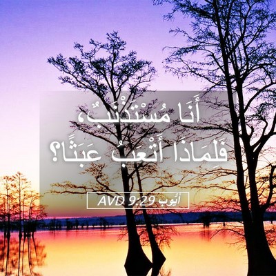 Picture 05 - أَيُّوبَ 9:29 AVD - أَنَا مُسْتَذْنَبٌ، - Bible Verse Picture