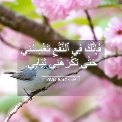 Picture 05 - أَيُّوبَ 9:31 AVD - فَإِنَّكَ فِي ٱلنَّقْعِ - Bible Verse Picture