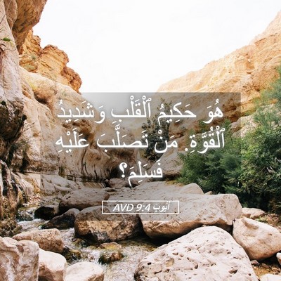 Picture 05 - أَيُّوبَ 9:4 AVD - هُوَ حَكِيمُ ٱلْقَلْبِ - Bible Verse Picture