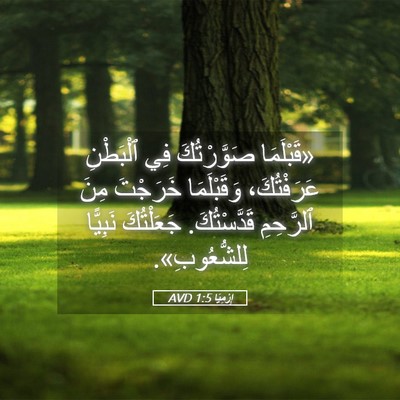 Picture 05 - إِرْمِيَا 1:5 AVD - «قَبْلَمَا صَوَّرْتُكَ - Bible Verse Picture