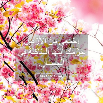 Picture 05 - إِرْمِيَا 10:17 AVD - اِجْمَعِي مِنَ ٱلْأَرْضِ - Bible Verse Picture