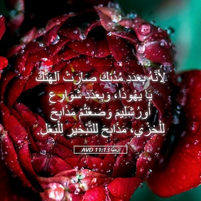 Picture 05 - إِرْمِيَا 11:13 AVD - لِأَنَّهُ بِعَدَدِ - Bible Verse Picture