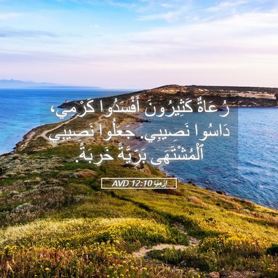 Picture 05 - إِرْمِيَا 12:10 AVD - رُعَاةٌ كَثِيرُونَ - Bible Verse Picture