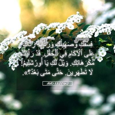 Picture 05 - إِرْمِيَا 13:27 AVD - فِسْقُكِ وَصَهِيلُكِ - Bible Verse Picture