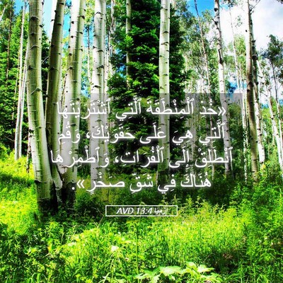 Picture 05 - إِرْمِيَا 13:4 AVD - «خُذِ ٱلْمِنْطَقَةَ - Bible Verse Picture