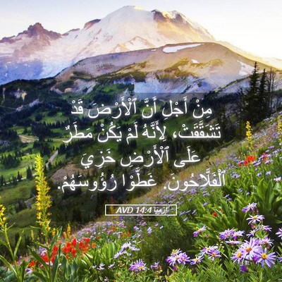 Picture 05 - إِرْمِيَا 14:4 AVD - مِنْ أَجْلِ أَنَّ - Bible Verse Picture