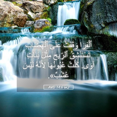 Picture 05 - إِرْمِيَا 14:6 AVD - ٱلْفِرَا وَقَفَتْ عَلَى - Bible Verse Picture
