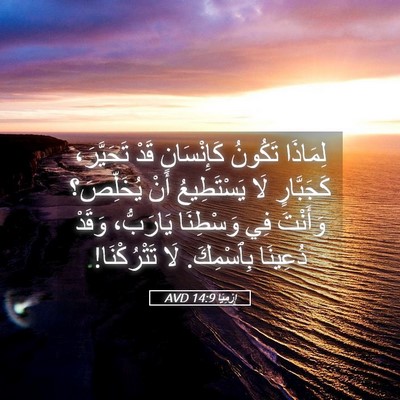 Picture 05 - إِرْمِيَا 14:9 AVD - لِمَاذَا تَكُونُ - Bible Verse Picture