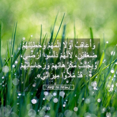 Picture 05 - إِرْمِيَا 16:18 AVD - وَأُعَاقِبُ أَوَّلًا - Bible Verse Picture
