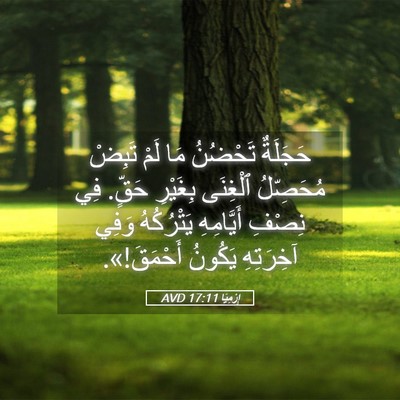 Picture 05 - إِرْمِيَا 17:11 AVD - حَجَلَةٌ تَحْضُنُ مَا لَمْ - Bible Verse Picture
