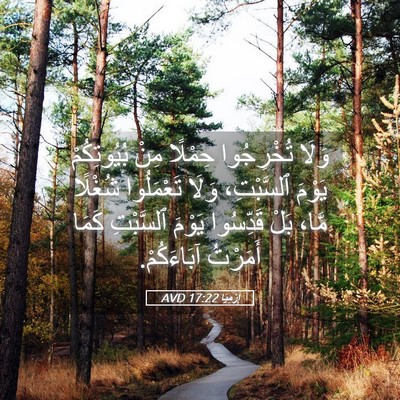 Picture 05 - إِرْمِيَا 17:22 AVD - وَلَا تُخْرِجُوا حِمْلًا - Bible Verse Picture