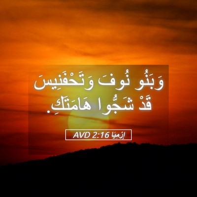 Picture 05 - إِرْمِيَا 2:16 AVD - وَبَنُو نُوفَ - Bible Verse Picture