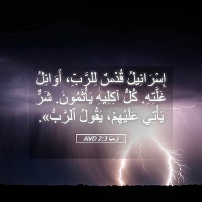 Picture 05 - إِرْمِيَا 2:3 AVD - إِسْرَائِيلُ قُدْسٌ - Bible Verse Picture