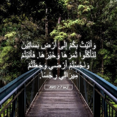 Picture 05 - إِرْمِيَا 2:7 AVD - وَأَتَيْتُ بِكُمْ إِلَى - Bible Verse Picture