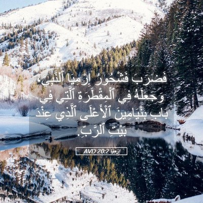 Picture 05 - إِرْمِيَا 20:2 AVD - فَضَرَبَ فَشْحُورُ - Bible Verse Picture
