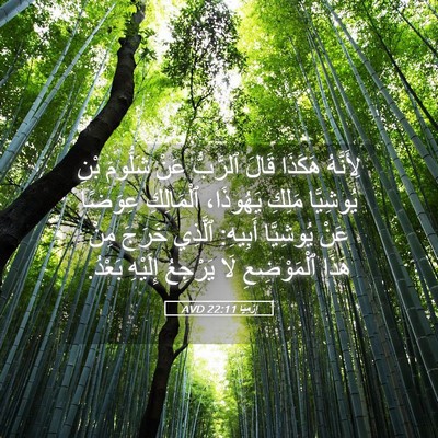 Picture 05 - إِرْمِيَا 22:11 AVD - لِأَنَّهُ هَكَذَا قَالَ - Bible Verse Picture