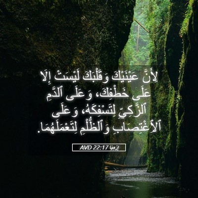 Picture 05 - إِرْمِيَا 22:17 AVD - لِأَنَّ عَيْنَيْكَ - Bible Verse Picture